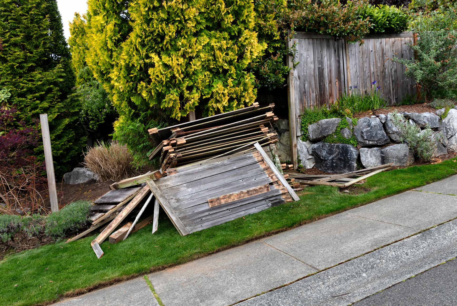 Old wooden fence panels, just removed and laying in a heap on the side of the road