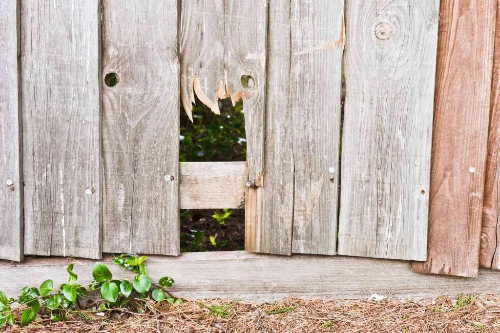 Hole in old wooden fence